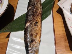 -锦鲤堂日本料理(莱茵之星店)