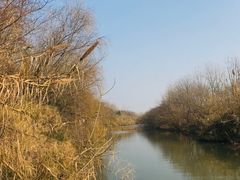 -溱湖国家湿地公园