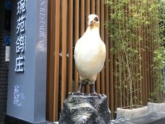 -琬苑鸽庄·川粤融合菜(解放碑总店)