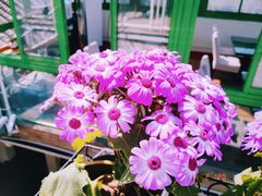 -EATALIA意塔利意式餐厅(鼓楼店)