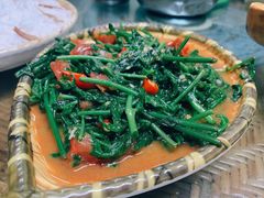 番茄炒水蕨菜-多哥水傣味餐厅(司马巷店)