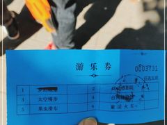 -朝阳公园游乐园