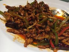 鱼香肉丝-西贝(满都海公园店)