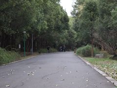 -蜀冈西峰生态公园