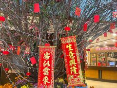 -松涛大酒楼