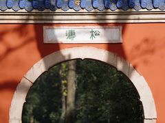 -灵谷景区