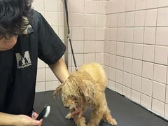 -FAELING PETS美天灵宠物(富力广场店)