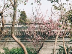 -恭王府博物馆