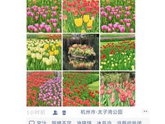 -西湖文化广场