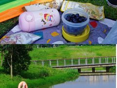 -洋湖国家湿地公园