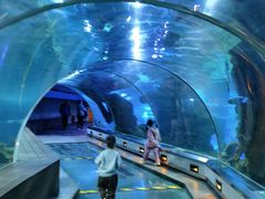 -石家庄海洋公园