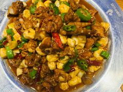 -俭寨大盘鸡·缸子肉·小公鸡·新疆菜(云通店)