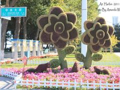广场装饰-斯大林公园