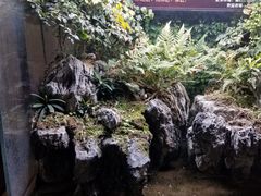 -名骏车业(园区星明店)