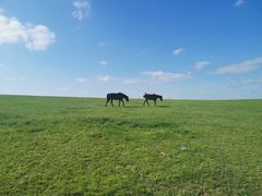-呼和诺尔旅游景区