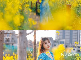 广东周边游/油菜花季节来啦！