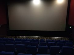 -武汉华夏国际影城(鲁广店)