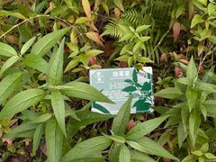 -广西壮族自治区药用植物园