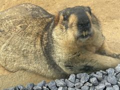 -茅山东方盐湖城景区