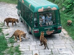 -深圳野生动物园
