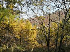 -北京灵山风景区