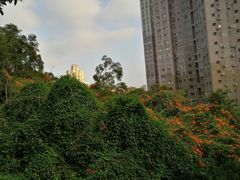 -燕晗山郊野公园