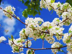 -丽江泸沽湖景区