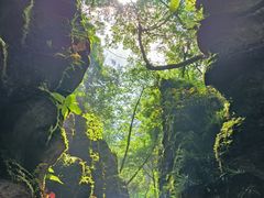 -梭布垭石林景区