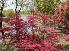 -东台西溪天仙缘景区