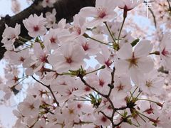 -龙美术馆(西岸馆)