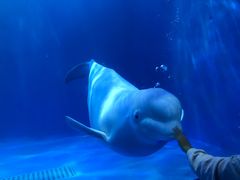 -多彩贵州城极地海洋世界