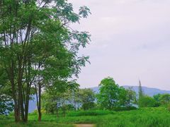 -良渚古城遗址公园