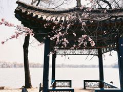 -颐和园