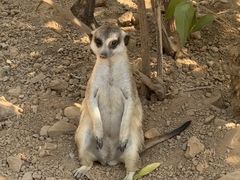 -石家庄市动物园