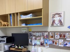 -美联众合动物医院·24h京西诊疗中心