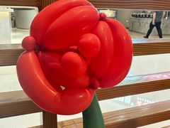 -菌彩云南野生菌火锅(万达广场店)