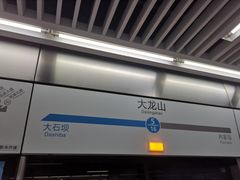 -大龙山(地铁站)