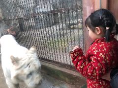 -南昌动物园