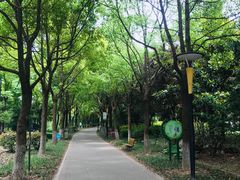 -紫薇公园