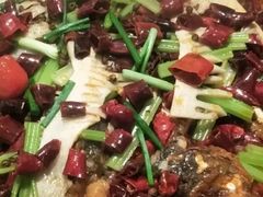 -老板恋上鱼(印象城店)