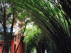 iphone_upload_pic-贵州师范大学(宝山北路校区)