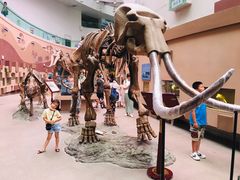 -陕西自然博物馆