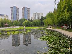 -莱西月湖公园