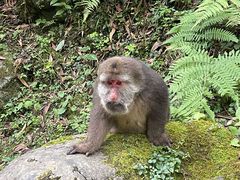 -西岭雪山大飞水景区