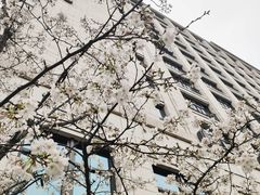 -杭州城中香格里拉大酒店