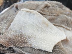 -铜元老码头鳝鱼火锅