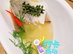-梧桐