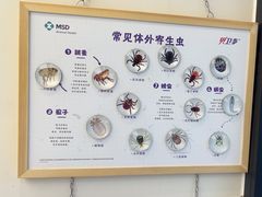 -瑞派康怡24h宠物医院·犬猫医疗中心·微创绝育(瑞景分院)