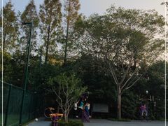 -上海吴淞炮台湾国家湿地公园