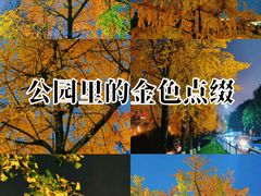 -西南政法大学(渝北校区)